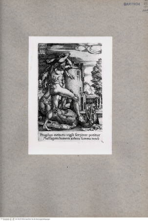 Vorderseite von  [http://creativecommons.org/publicdomain/mark/1.0/] ... - , bh130239. Foto.