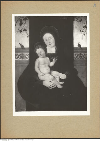 Vorderseite von bh130284_recto