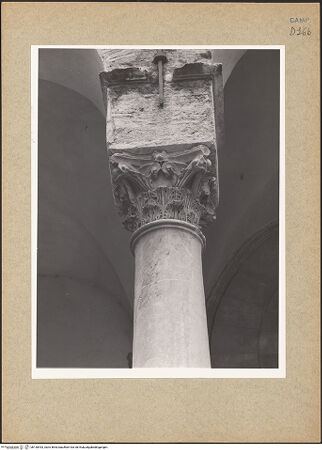 Vorderseite von Bibliotheca Hertziana [https://www.deutsche-digitale-bibliothek.de/content/lizenzen/rv-fz/] Kapitell und Schaft, bh130443_recto. Foto.