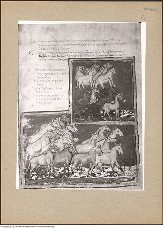 Vorderseite von bh130501_recto