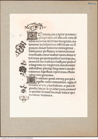 Vorderseite von bh130551_recto