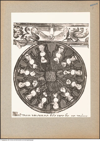 Vorderseite von bh130562_recto