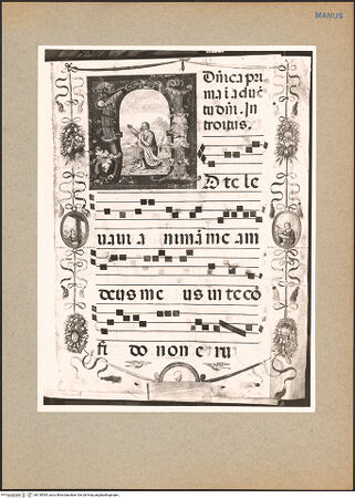 Vorderseite von bh130565_recto