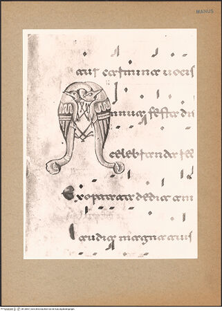 Vorderseite von bh130567_recto