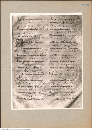 Vorderseite von bh130569_recto