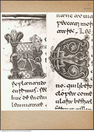 Vorderseite von bh130571_recto