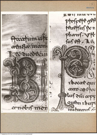 Vorderseite von bh130575_recto