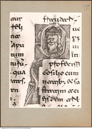 Vorderseite von bh130587_recto