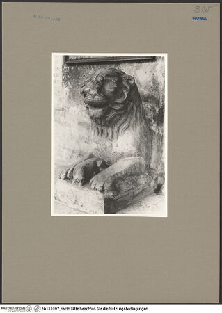 Vorderseite von Bibliotheca Hertziana [https://www.deutsche-digitale-bibliothek.de/content/lizenzen/rv-fz/] Portallöwe - , bh131097_recto. Foto: Noehles, Karl.