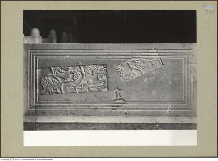 Vorderseite von Böhm [https://www.deutsche-digitale-bibliothek.de/content/lizenzen/rv-ez/] Fragment eines Pluteus (Brüstung) mit Weinstock, Vögeln und einem Mann, der einen Hasen jagt - Gesamtansicht, bh131979_recto. Foto: Böhm, Osvaldo.