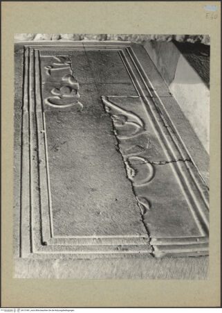 Vorderseite von Böhm [https://www.deutsche-digitale-bibliothek.de/content/lizenzen/rv-ez/] Fragment eines Pluteus (Brüstung) mit Weinstock - Gesamtansicht, bh131981_recto. Foto: Böhm, Osvaldo.