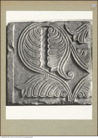 Vorderseite von Böhm [https://www.deutsche-digitale-bibliothek.de/content/lizenzen/rv-ez/] Fragment eines Pluteus (Brüstung) mit Blattwerk - Gesamtansicht, bh132065_recto. Foto: Böhm, Osvaldo.