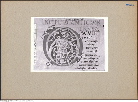 Vorderseite von bh132141_recto