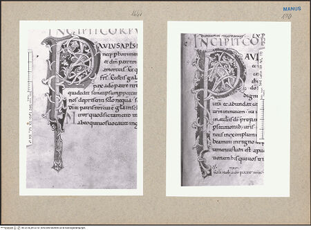 Vorderseite von bh132146_bh132147_recto