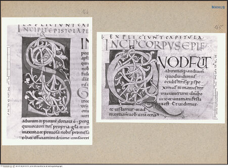 Vorderseite von bh132150_bh132151_recto