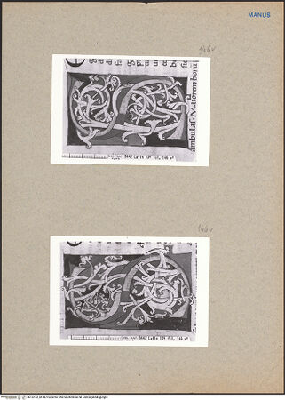 Vorderseite von bh132152_bh132153_recto