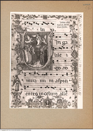 Vorderseite von bh132198_recto