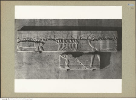 Vorderseite von Böhm [https://www.deutsche-digitale-bibliothek.de/content/lizenzen/rv-ez/] Fragment eines Pluteus (Brüstung) mit Vase zwischen Lämmern - Gesamtansicht, bh132210_recto. Foto: Böhm, Osvaldo.