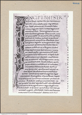 Vorderseite von bh132217_recto