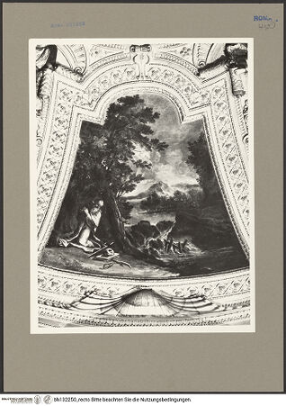 Vorderseite von Bibliotheca Hertziana [https://rightsstatements.org/page/CNE/1.0/] Ausmalung der Kuppel mit Szenen aus dem Leben des heiligen HieronymusBildfeld: Der heilige Hieronymus büßend - , bh132250_recto. Foto: Rigamonti.