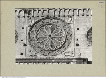 Vorderseite von bh132549_recto