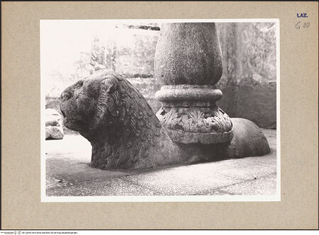 Vorderseite von bh132654_recto