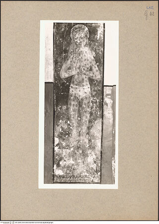 Vorderseite von bh132669_recto