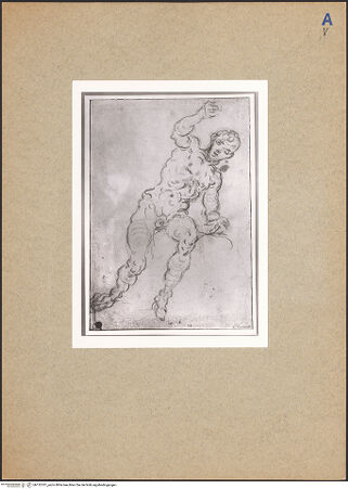 Vorderseite von bh132701_recto