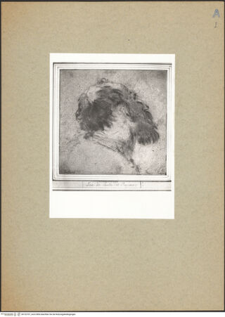 Vorderseite von bh132707_recto