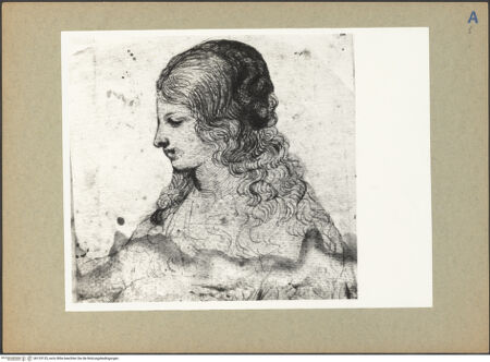 Vorderseite von bh133125_recto