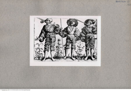 Vorderseite von  [http://creativecommons.org/publicdomain/mark/1.0/] ... - , bh133145. Foto.