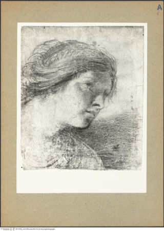 Vorderseite von bh133582_recto