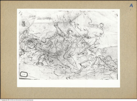 Vorderseite von bh133594_recto