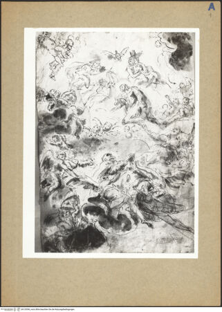 Vorderseite von bh133596_recto