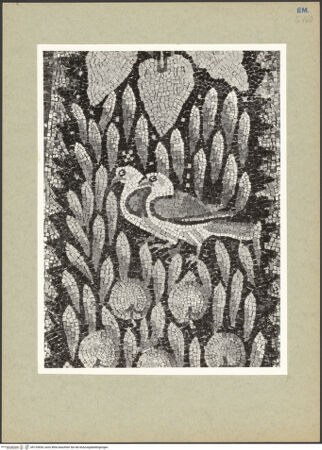 Vorderseite von Villani [https://www.deutsche-digitale-bibliothek.de/content/lizenzen/rv-ez/] Dekoration des PresbyteriumsLamm Gottes in einem von Engeln getragenen Clipeus - Nordöstliche Rippe, Detail, bh133654_recto. Foto.