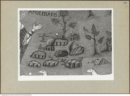 Vorderseite von Villani [https://www.deutsche-digitale-bibliothek.de/content/lizenzen/rv-ez/] ApsismosaikMosaik der Apsiskalotte: die Transfiguration und der Heilige Apollinaris zwischen zwölf Lämmern - Detail, bh133662_recto. Foto: Villani.