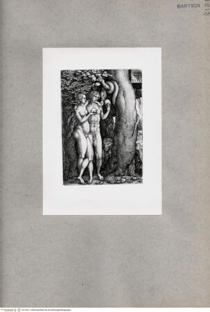 Vorderseite von  [http://creativecommons.org/publicdomain/mark/1.0/] Adam und Eva - , bh135011. Foto.