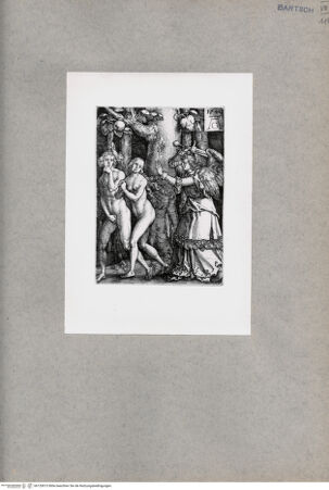 Vorderseite von  [http://creativecommons.org/publicdomain/mark/1.0/] ... - , bh135013. Foto.