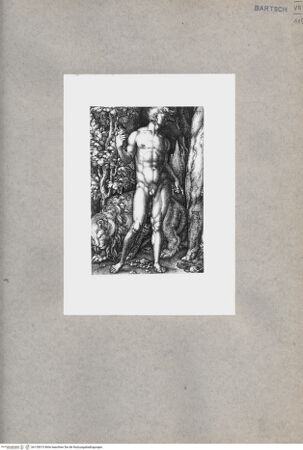 Vorderseite von  [http://creativecommons.org/publicdomain/mark/1.0/] Adam - , bh135015. Foto.