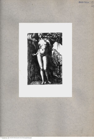 Vorderseite von  [http://creativecommons.org/publicdomain/mark/1.0/] ... - , bh135016. Foto.