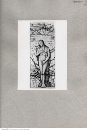 Vorderseite von  [http://creativecommons.org/publicdomain/mark/1.0/] ... - , bh135029. Foto.