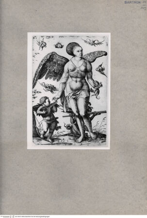Vorderseite von  [http://creativecommons.org/publicdomain/mark/1.0/] Venus - , bh135072. Foto.