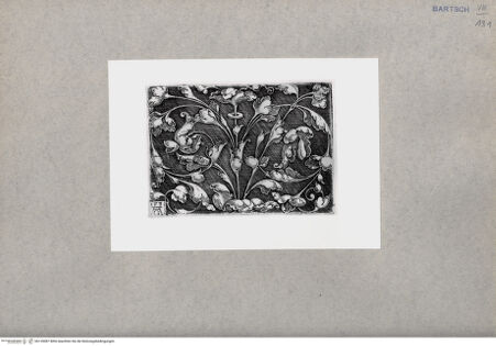 Vorderseite von  [http://creativecommons.org/publicdomain/mark/1.0/] ... - , bh135087. Foto.