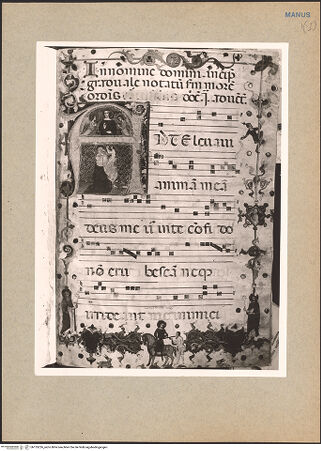 Vorderseite von bh135226_recto