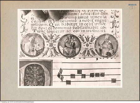 Vorderseite von bh135231_recto