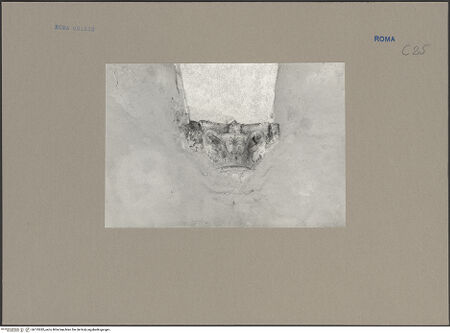 Vorderseite von bh135282_recto