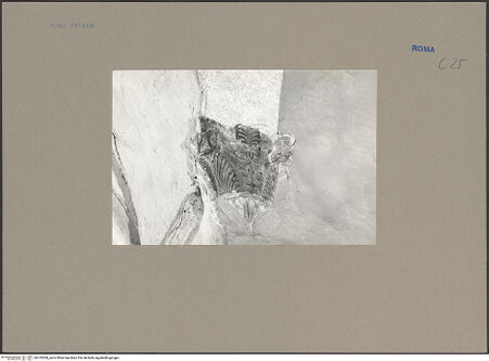 Vorderseite von bh135284_recto