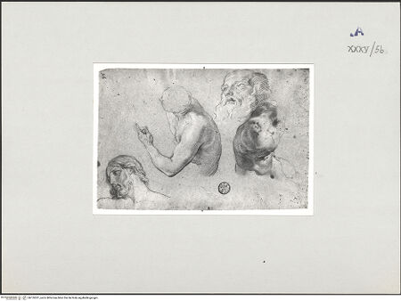 Vorderseite von bh135321_recto