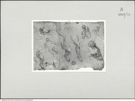 Vorderseite von bh135322_recto