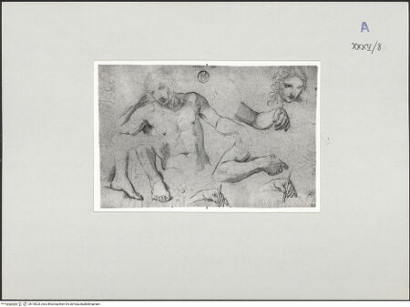 Vorderseite von bh135323_recto